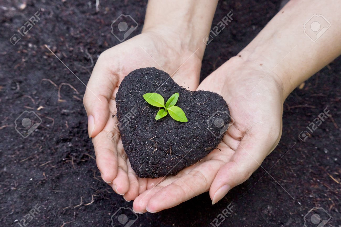 27216106-hands-holding-fertile-soil-as-a-heart-shape-with-a-young-green-tree-in-the-middle-planting-tree-grow-Stock-Photo