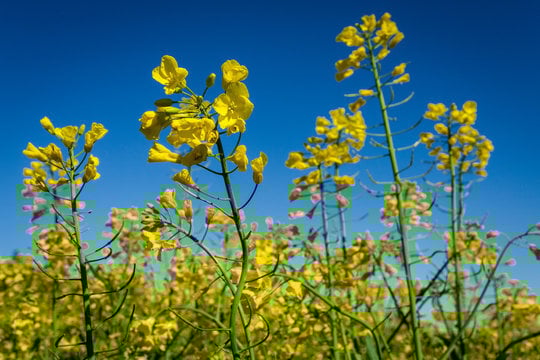 360_F_109814534_NgsRXeyD0OV2qQJTm4Mjer03V6pLzwUD 360_F_109814534_NgsRXeyD0OV2qQJTm4Mjer03V6pLzwUD