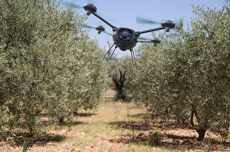 Ulivi-con-drone_progetto-fixyll