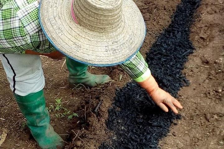 WarmHeart Orchard Test Banner_0 WarmHeart Orchard Test Banner_0